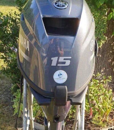 2020 Yamaha 15 PS 4-Takt 20" Außenbordmotor - Alpha Marine Außenbordmotoren