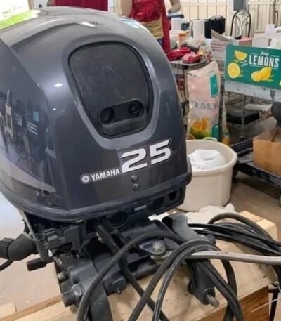 2020 Yamaha 25 PS 4-Takt Außenbordmotor - Alpha Marine Außenbordmotoren